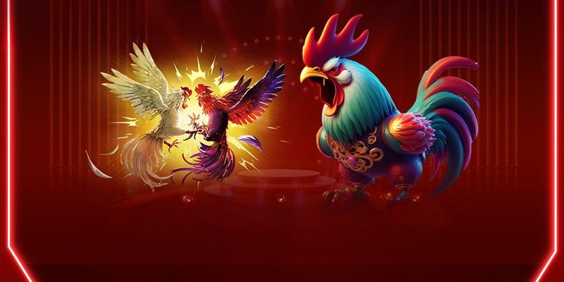 Đá Gà VN88 – Những Pha Chọi Căng Thẳng, Quyết Liệt